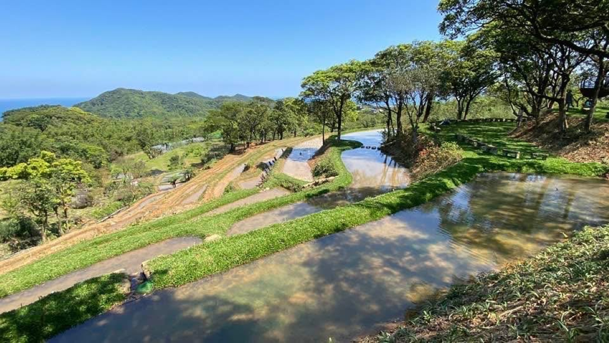 貢寮區雞母嶺水梯田環境改善後獲得2025建築園冶獎肯定。