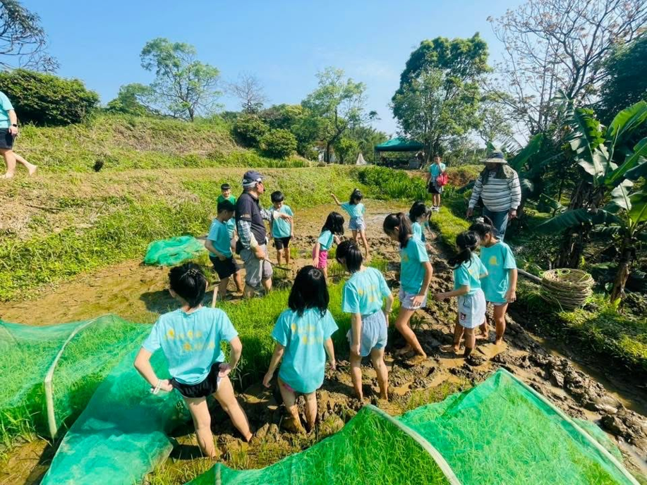 復育後水梯田重新發揮蓄水功能，以種稻認養等模式提供周邊各級學校做為食農教育體驗場域。