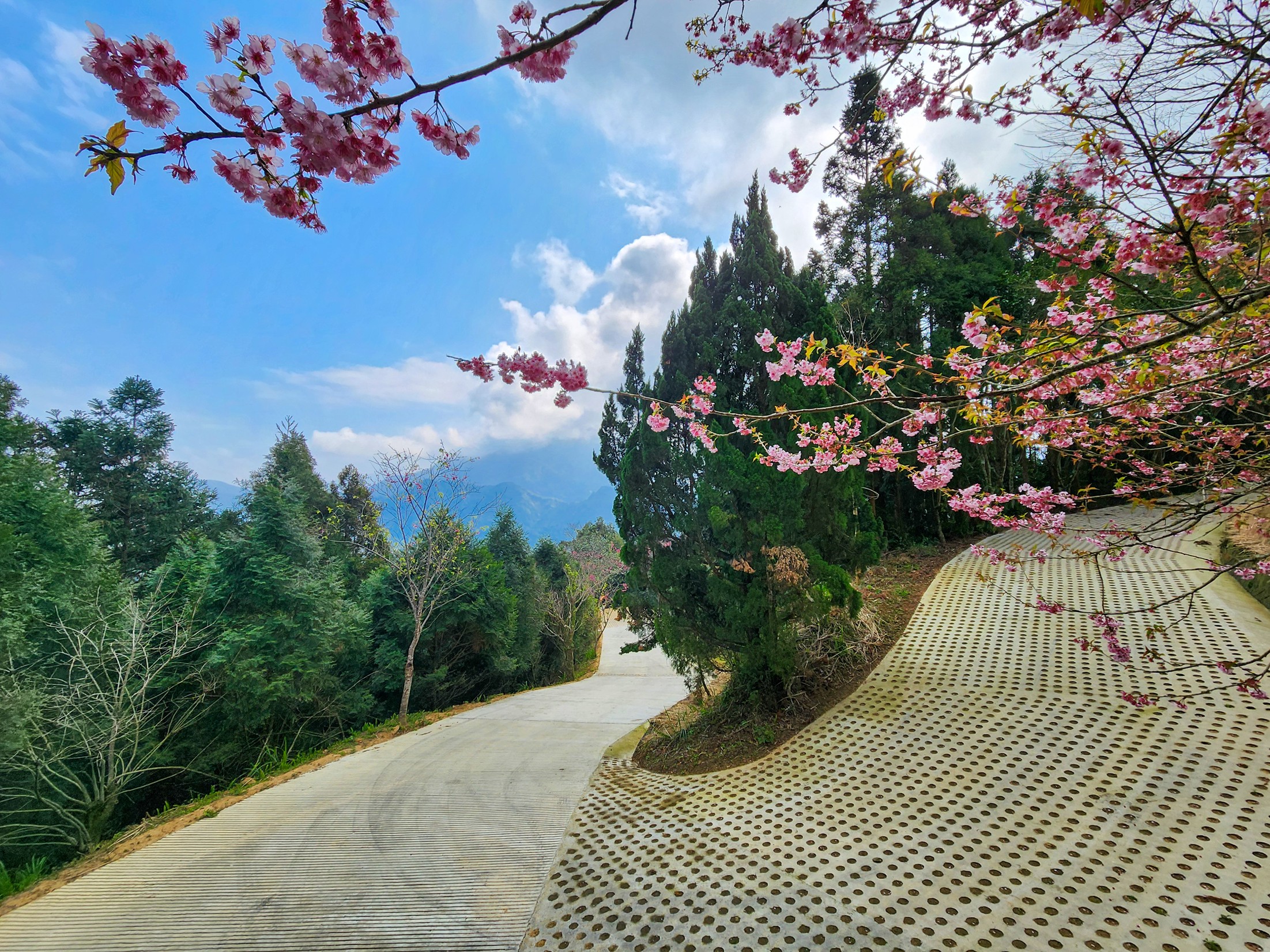 東河12鄰橫屏背社區農路改善工程