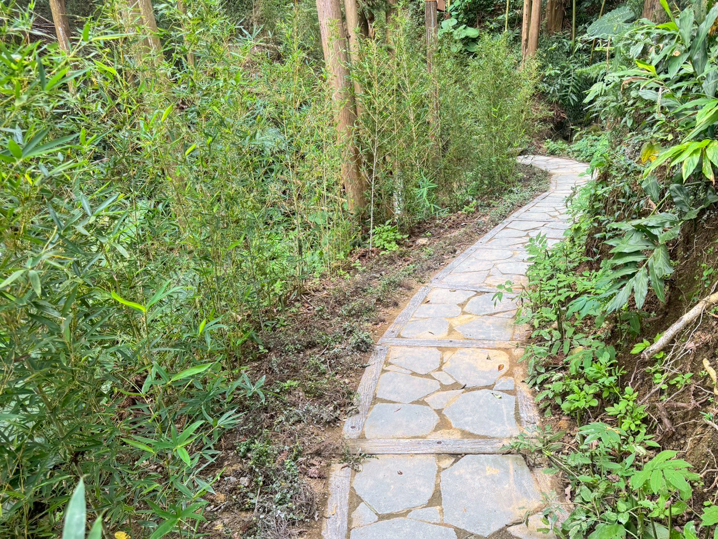  步道搭配生態檢核及友善工法改善，兼顧安全及自然景觀環境。