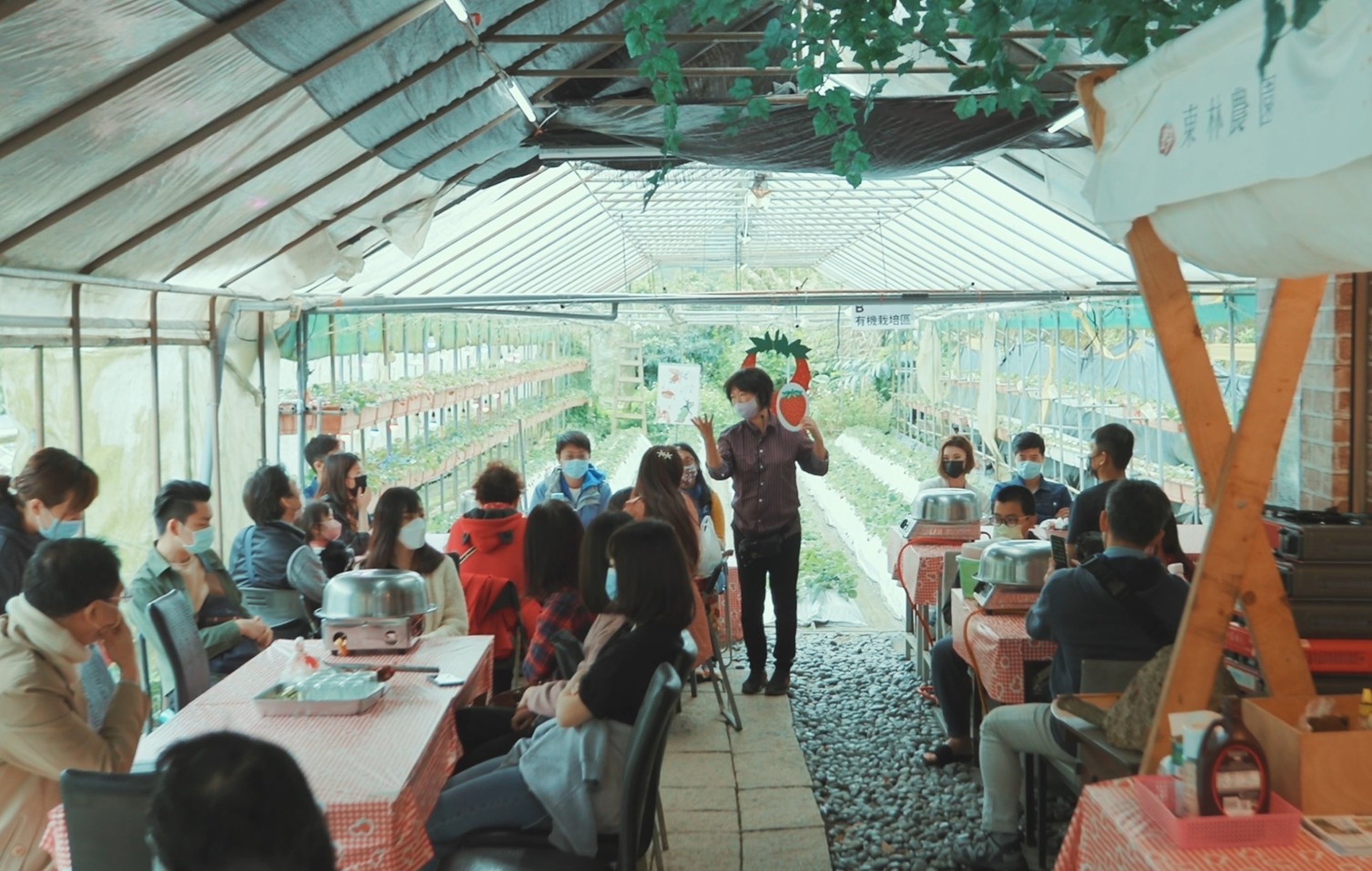 臺北白石湖草莓季食農體驗