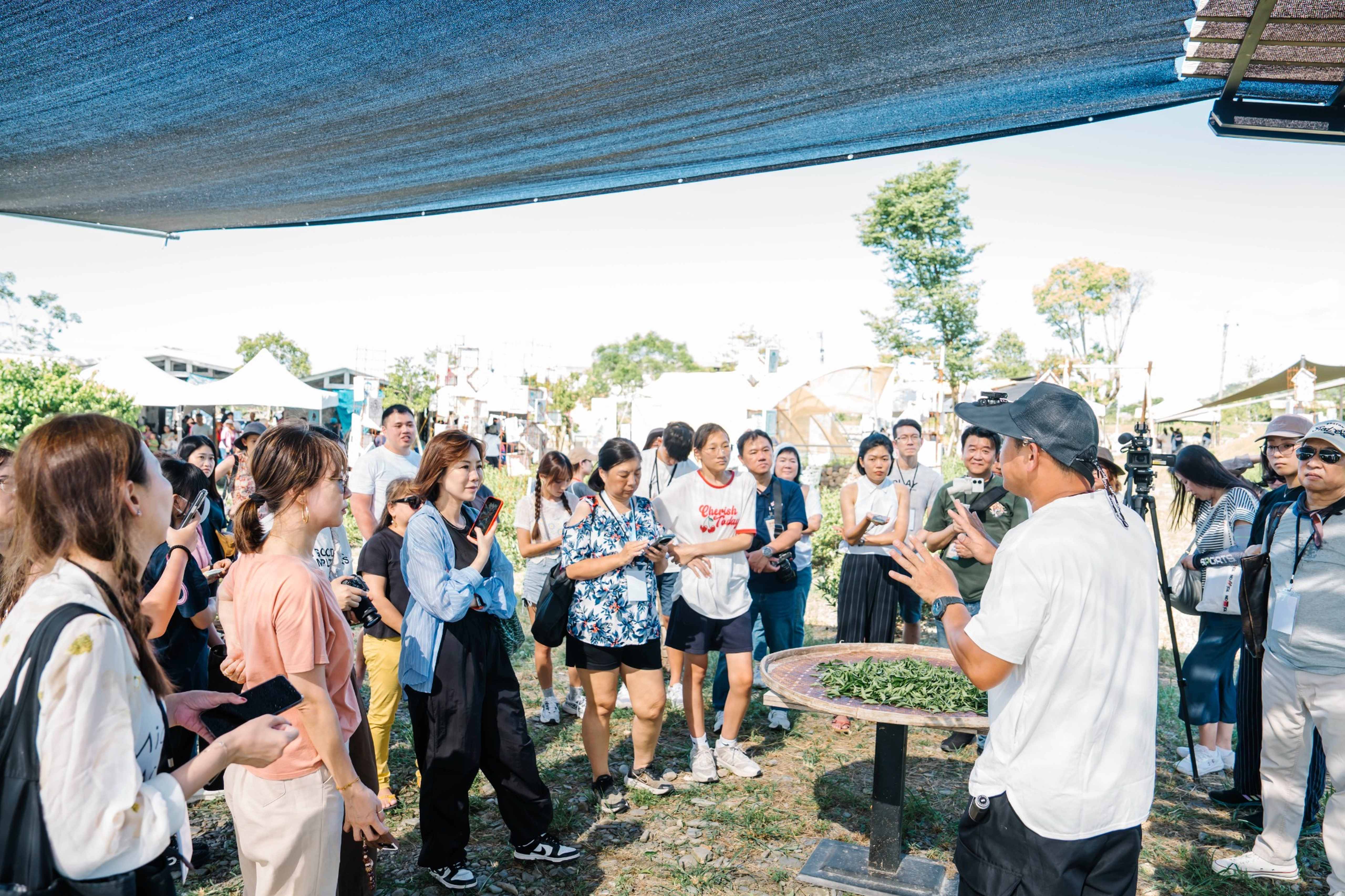 宜蘭中山茶產業體驗活動