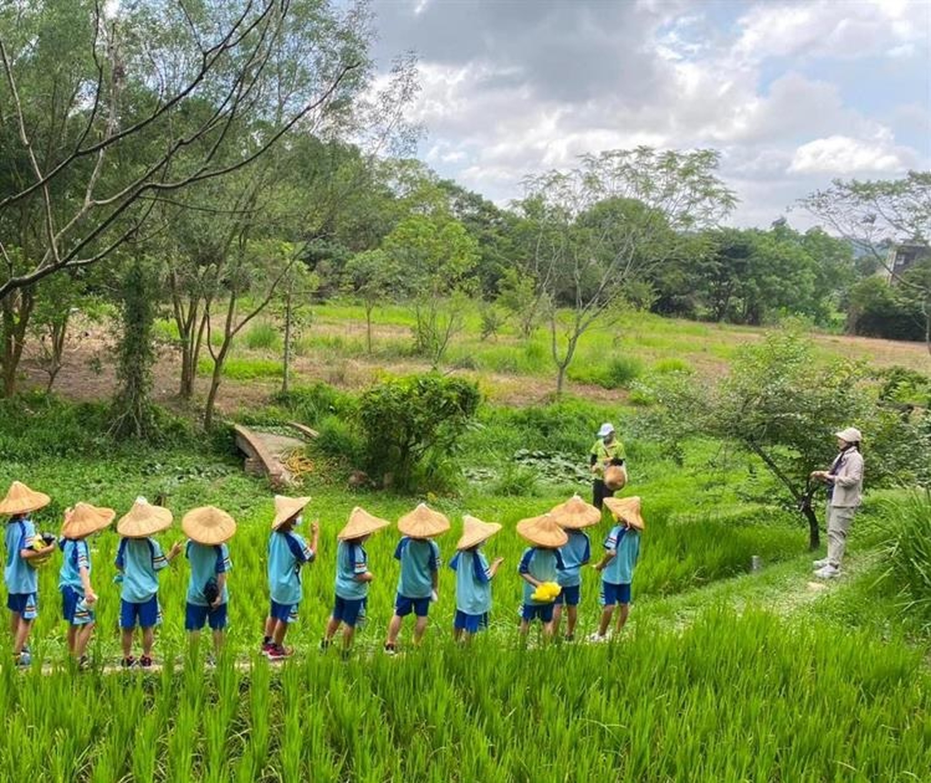 桃園康莊農村走讀好風景