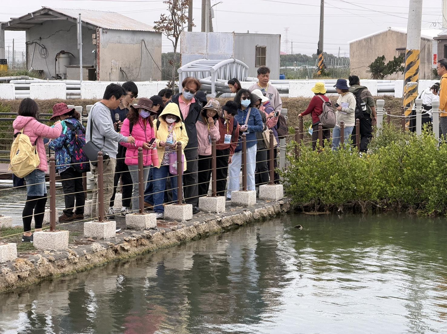 走讀結合深度產業體驗，傳遞食魚教育多元面向及永續精神。